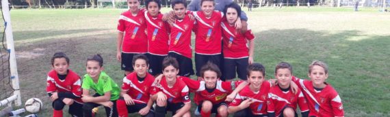 RESULTATS FC VILLENEUVE  WEEKEND DES 09 ET 10 FEVRIER 2019